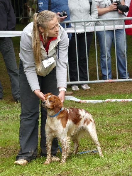 TR. CH. Lascar De tremouard - 1er EXC CJMBO - MEILLEUR JEUNE MALE DE LA NATIONALE D'ELEVAGE 2016