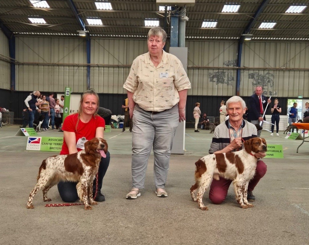 TR. CH. Sissi De tremouard - 1er Excellent COFBO - CACS - CACIB - MEILLEUR DE RACE DE SEXE OPPOSE