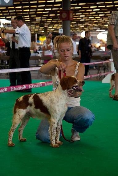 TR. CH. Diazo De tremouard - 3ème EXCELLENT CTMBO