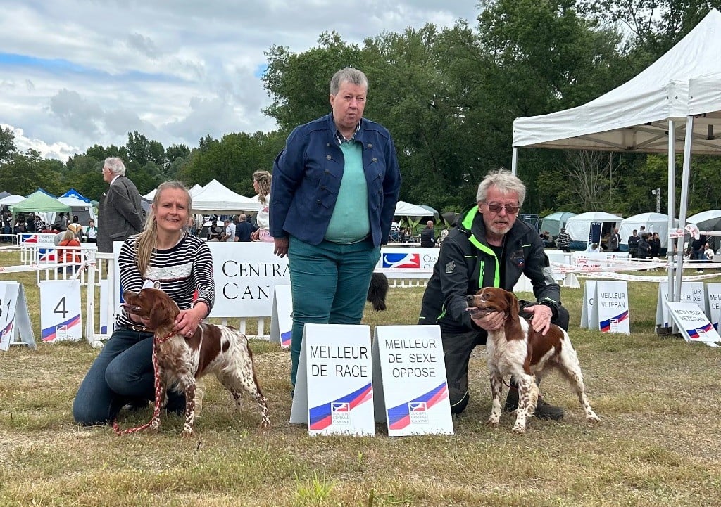 TR. CH. Sissi De tremouard - 1er Excellent COFBO - CACS - CACIB - MEILLEUR DE RACE