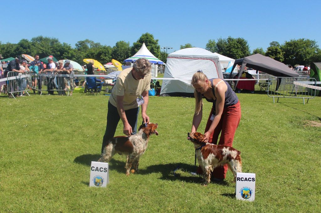 TR. CH. Lascar De tremouard - 1er Excellent COMBO - RCACS