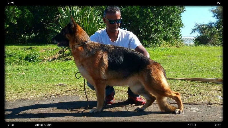 Publication : du Fort de Cadres Auteur : harry