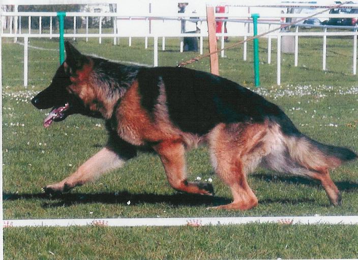 Publication : du Fort de Cadres