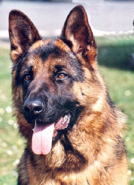 Publication : du Fort de Cadres