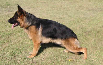 Publication : du Fort de Cadres