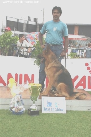 Uran du Fort de Cadres - 1er EXCELENT CACS et 2 éme BEST in SHOW