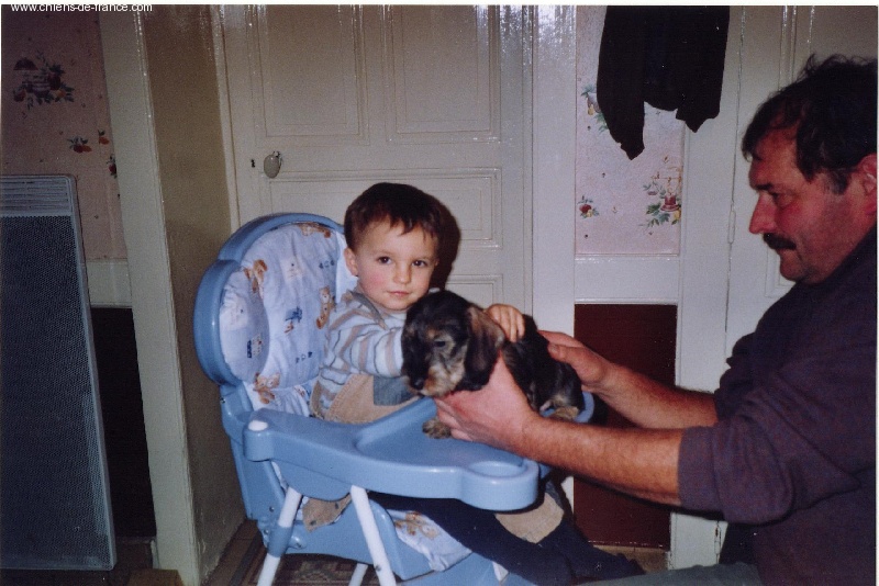 Publication : de cat'woman