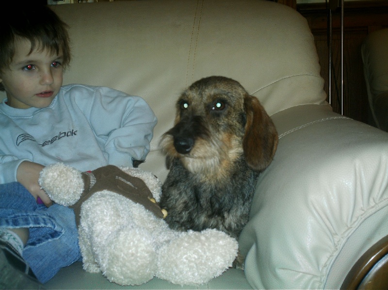 Publication : de cat'woman