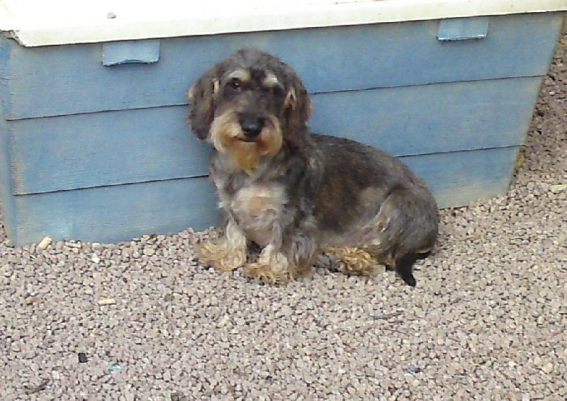 Publication : de cat'woman