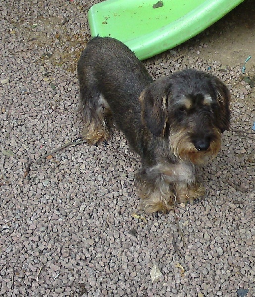 Publication : de cat'woman