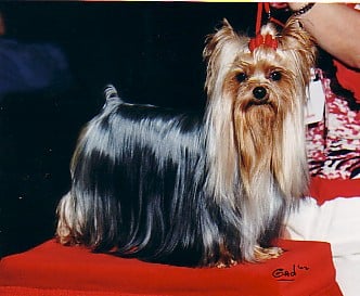 Publication : de la Pam'Pommeraie