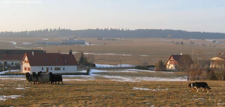 Publication : des Plateaux du Haut-Doubs Auteur : A. Moreillon