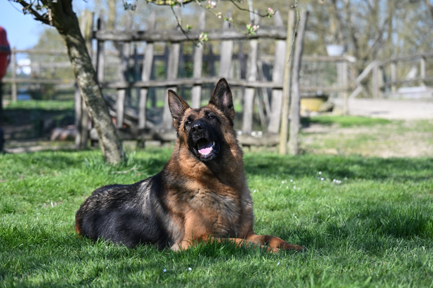 Publication : Du Haut Atlas