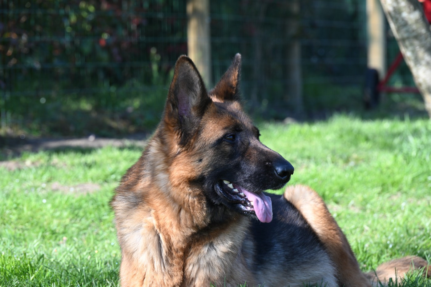 Publication : Du Haut Atlas