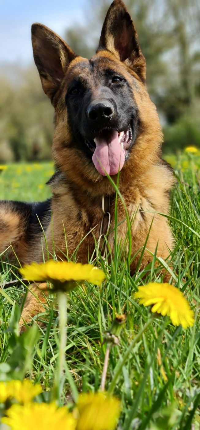 Publication : Du Haut Atlas