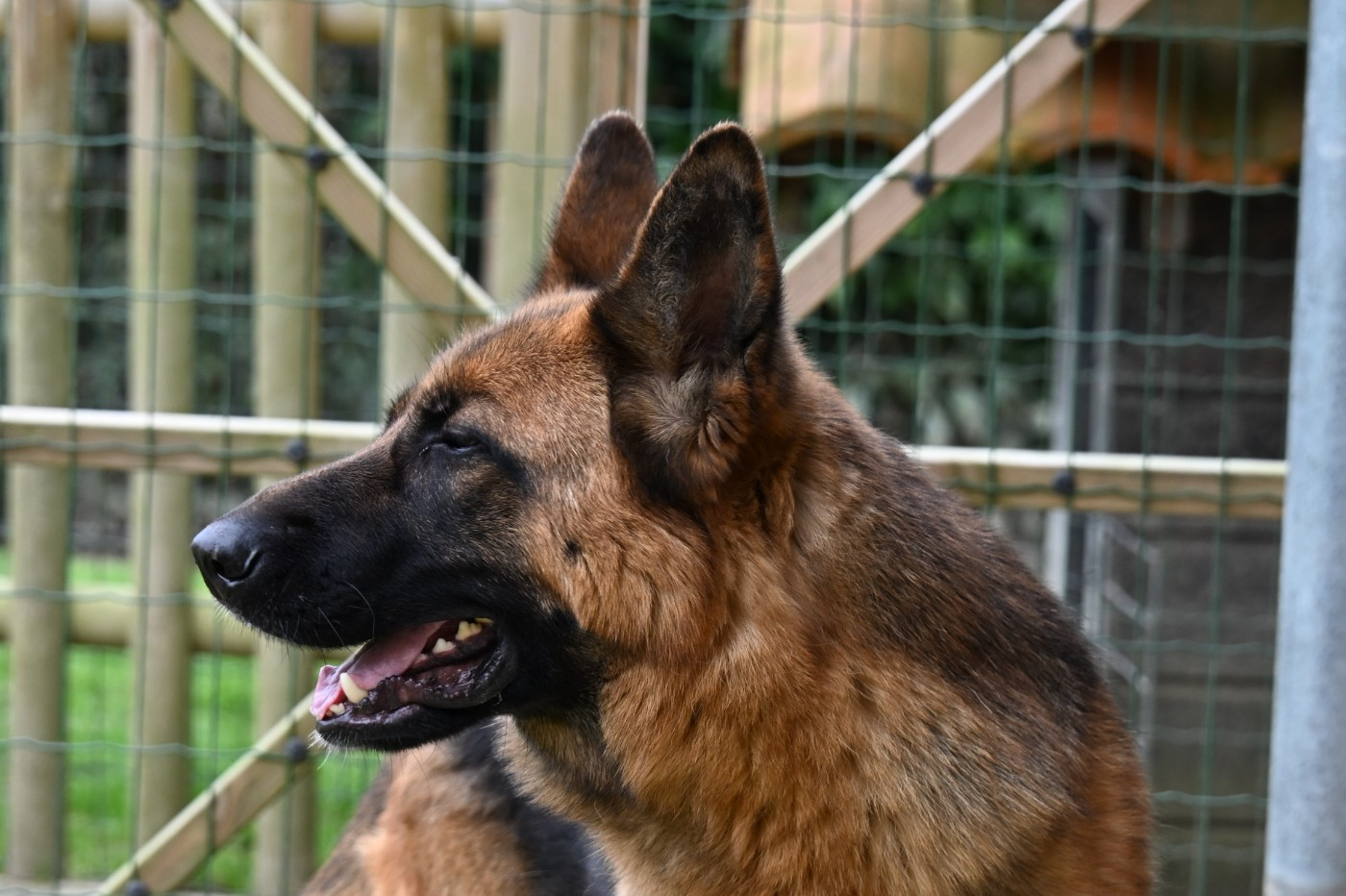 Publication : Du Haut Atlas