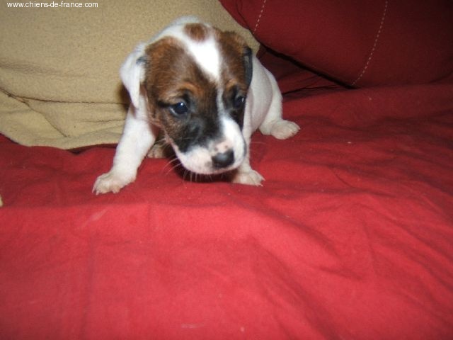 Publication : Du Haut Atlas Auteur : BRIGITTE FIQUET