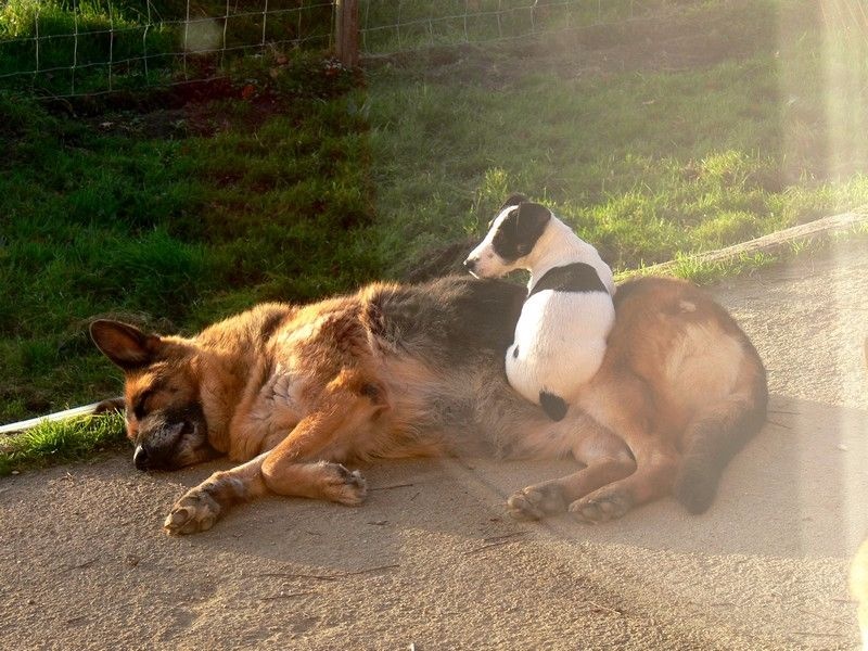 Publication : Du Haut Atlas Auteur : Brigitte Fiquet