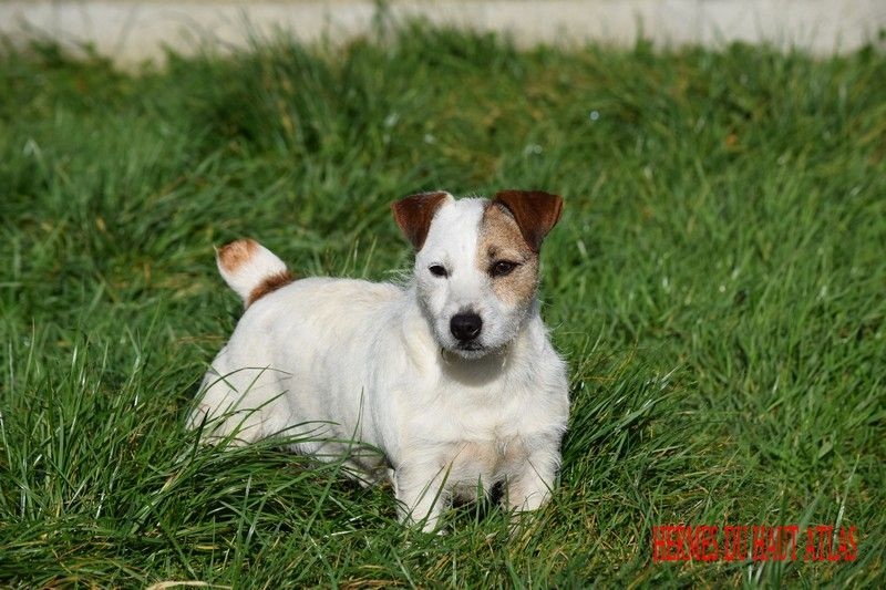 Publication : Du Haut Atlas Auteur : Brigitte Fiquet Bonnin