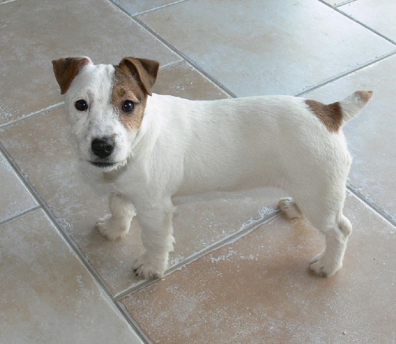 Publication : Du Haut Atlas Auteur : Brigitte Fiquet Bonnin