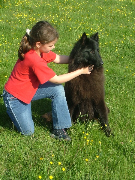 Publication : du domaine du chene au loup