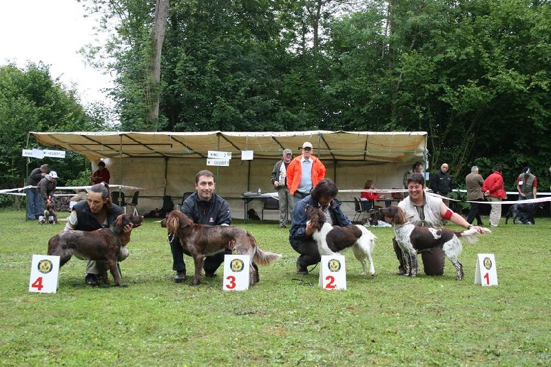 Publication : Vom hundegelaut Auteur : Angélique A.