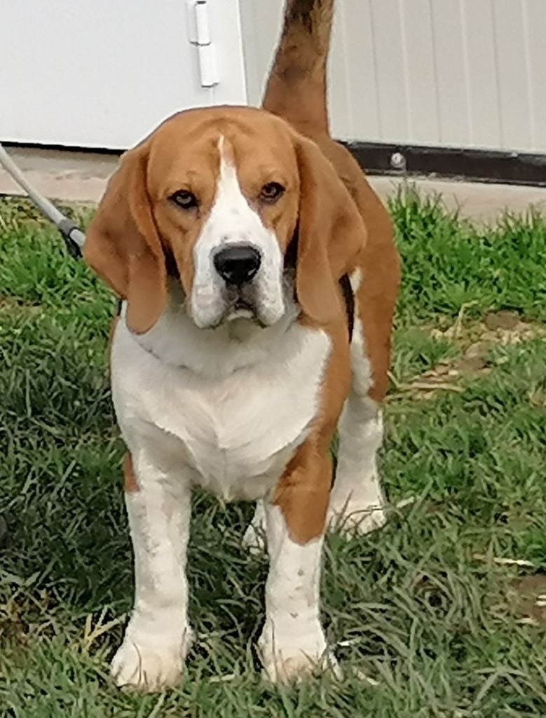 Publication : Des quatre jeudis