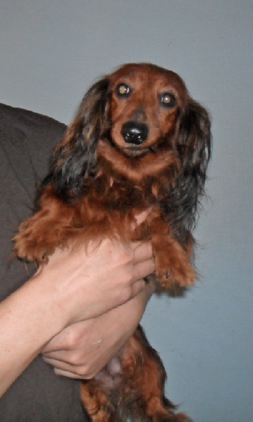 Publication : de l'Orée des heures claires Auteur : y binios legrand lhcl