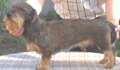 Publication : de l'Orée des heures claires Auteur : y binios legrand