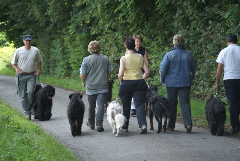 CH. Cyra De l'ecrin des hauts de france - test réussi