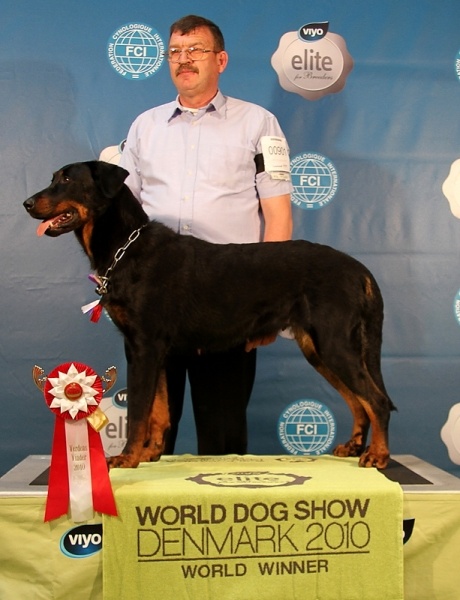 CH. Cyra De l'ecrin des hauts de france - CACIB - Meilleur de race - championne du Monde 2010