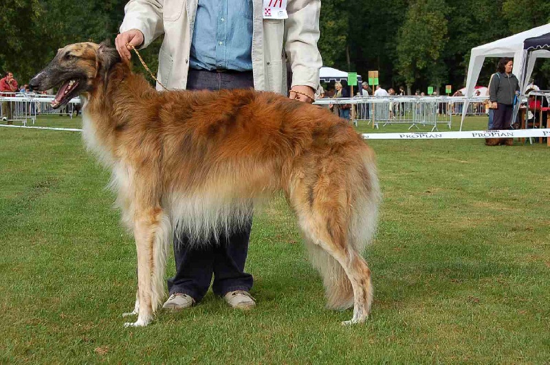 Publication : du Clos des Sabines