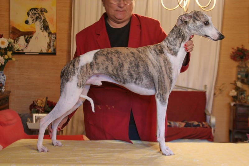 Publication : Du manoir de la grenouillère