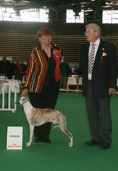 CH. Un gentleman Du manoir de la grenouillère - CACS-CACIB-BOS