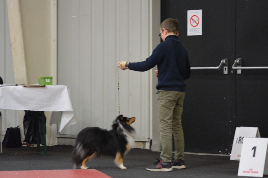 Opale du Domaine des Sentinelles - 1ère excellente + CACS + Meilleure de Race