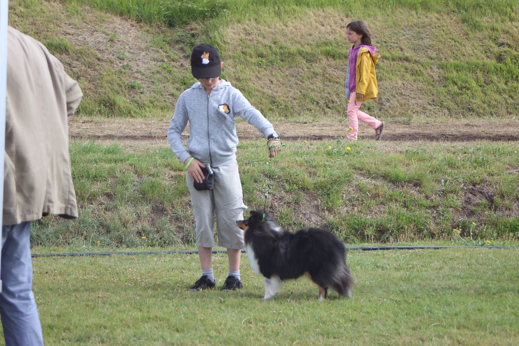 Opale du Domaine des Sentinelles - 1ère excellente + Meilleure Jeune