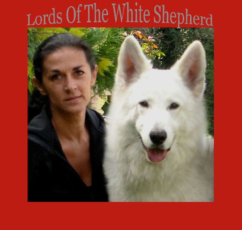 Publication : Lords of the white Shepherd  Auteur : LOTWS