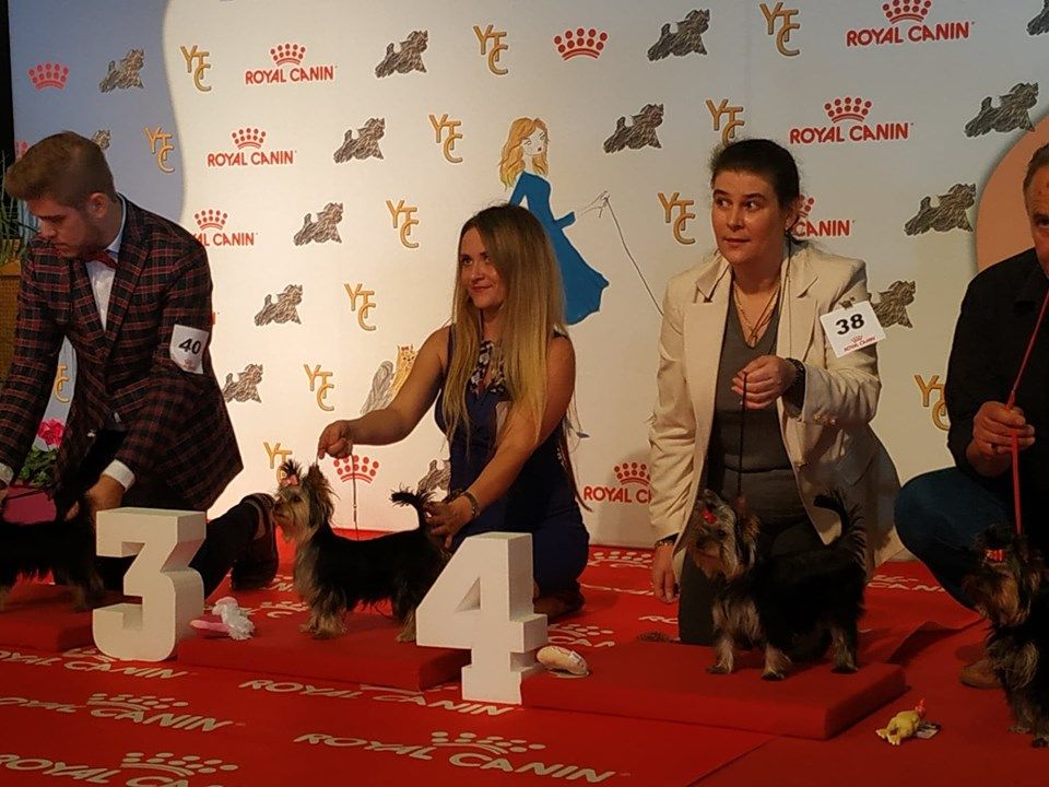 Amberstill Passionnata - 4 ème TP