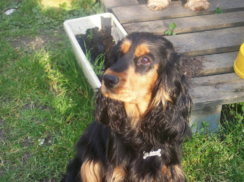 Publication : Des petites canailles