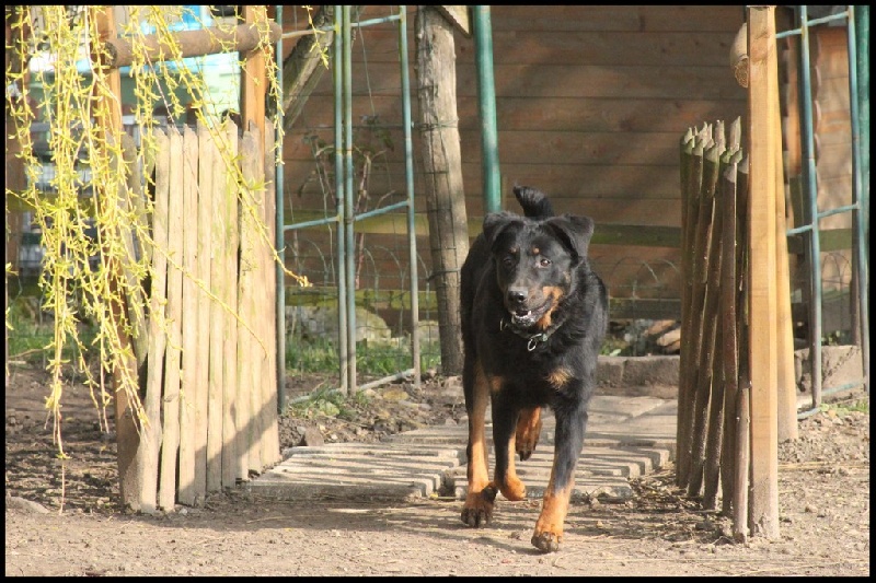 Publication : du Royaume D'Elsa Auteur : Agnès du ROYAUME D'ELSA