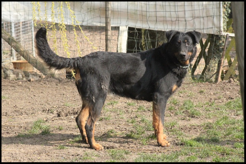 Publication : du Royaume D'Elsa Auteur : Agnès du ROYAUME D'ELSA