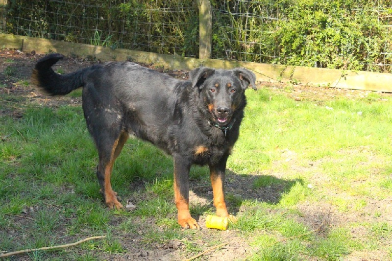 Publication : du Royaume D'Elsa Auteur : Agnès du ROYAUME D'ELSA