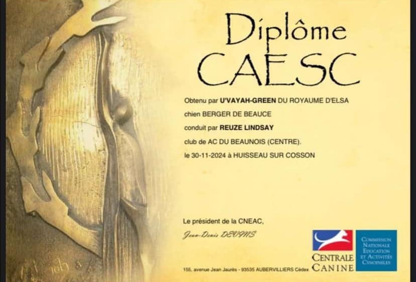 U'vayah-green du Royaume D'Elsa