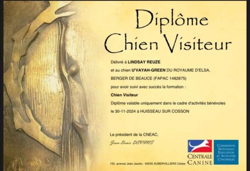 U'vayah-green du Royaume D'Elsa