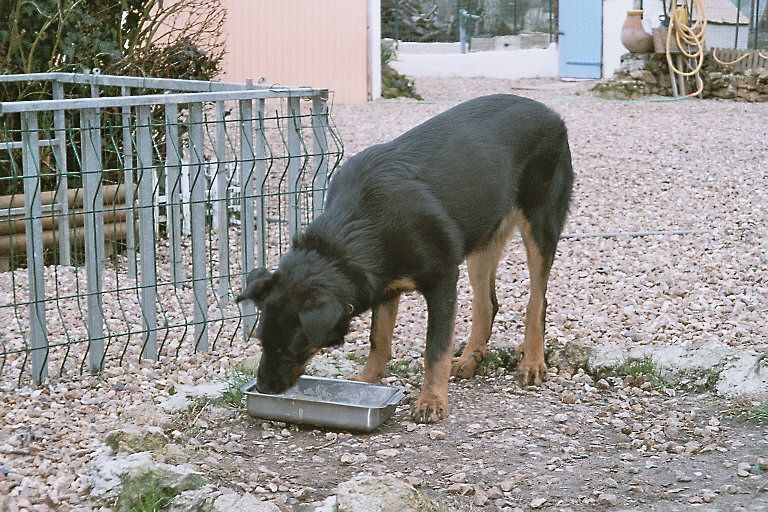 Publication : du Royaume D'Elsa Auteur : Agnès du ROYAUME D'ELSA