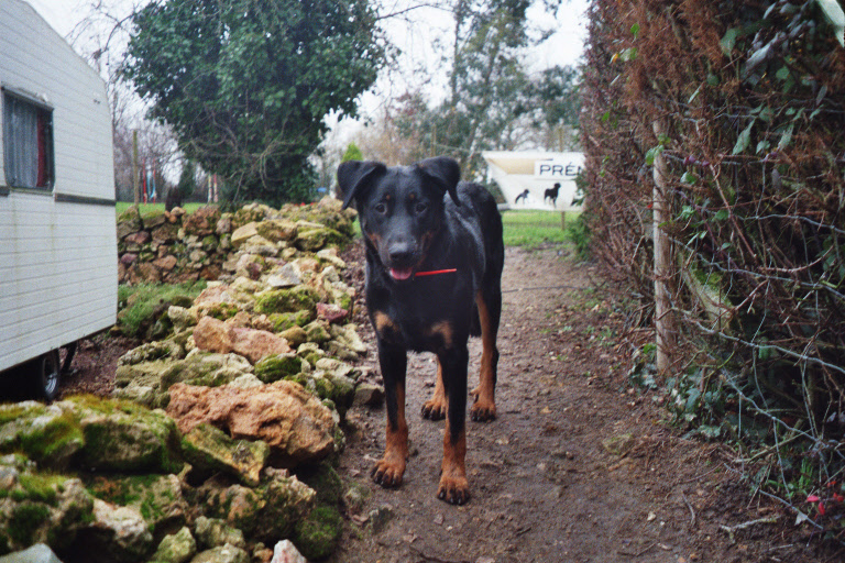 Publication : du Royaume D'Elsa Auteur : Agnès du ROYAUME D'ELSA