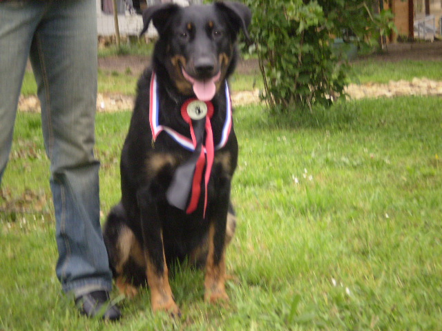 Publication : du Royaume D'Elsa Auteur : Agnès du ROYAUME D'ELSA