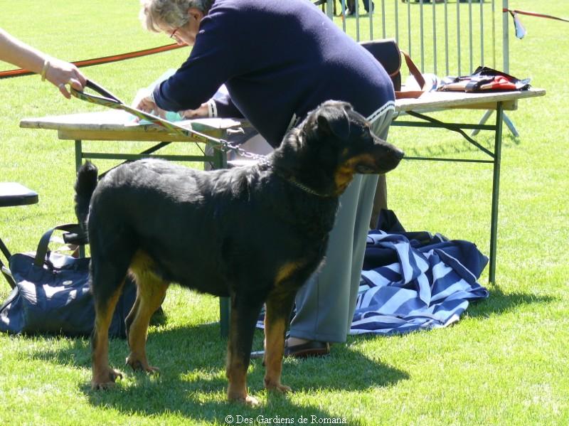 Publication : du Royaume D'Elsa Auteur : Agnès du ROYAUME D'ELSA