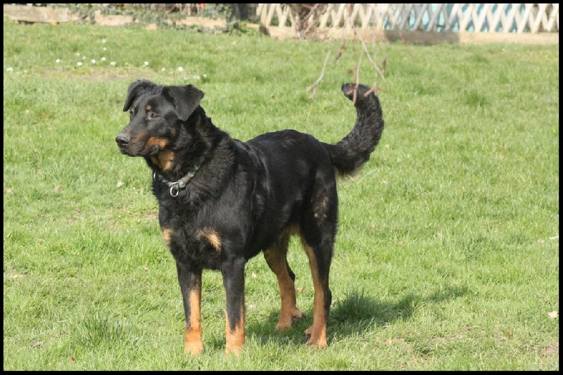 Publication : du Royaume D'Elsa Auteur : Agnès du ROYAUME D'ELSA