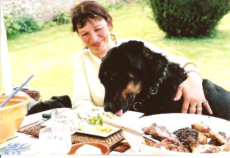 Publication : du Royaume D'Elsa Auteur : Agnès du ROYAUME D'ELSA